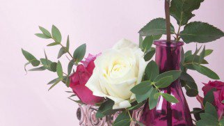 Toadsquare's tweet image. A beautiful mirror toadsquare.com/en/?url=v0Yb2s…