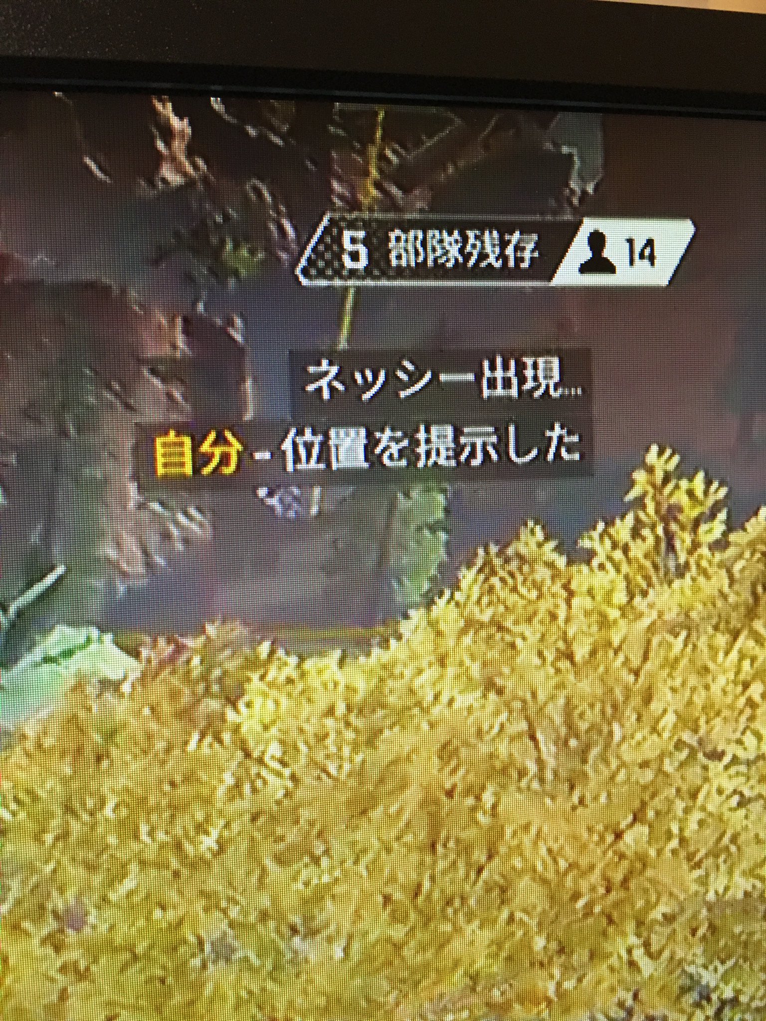ねこすけ Sr教 Apex なにこれ ネッシーいるの ねぇ ネッシーいるの ねこすけ Sr教 Apex なにこれ ネッシーいるの ねぇ ネッシーいるの