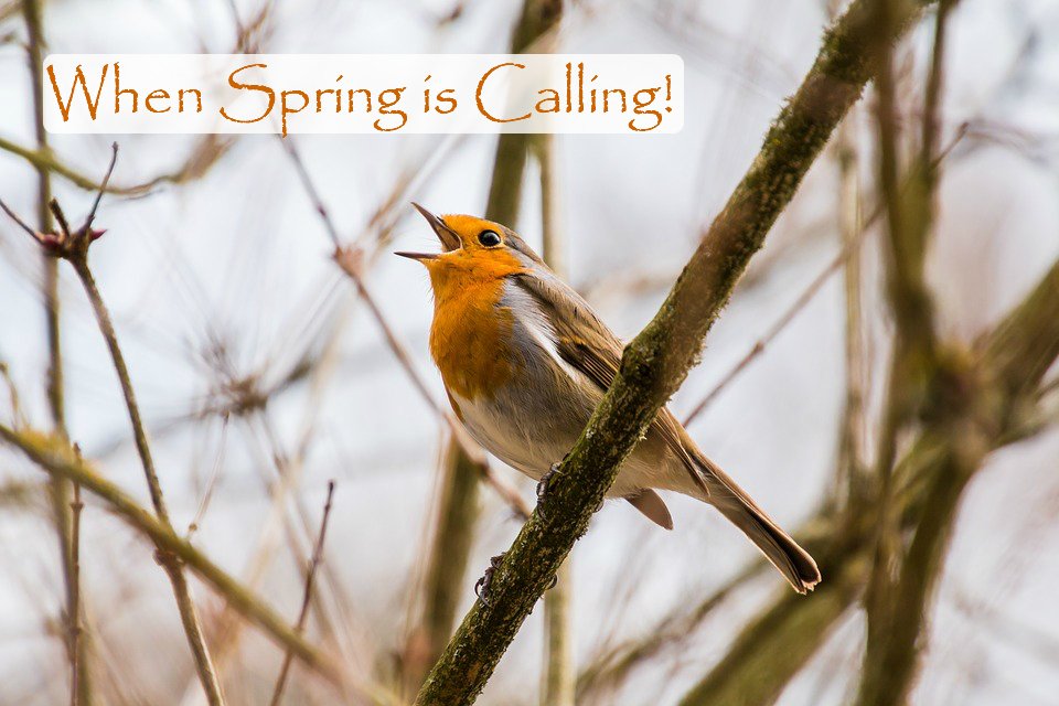 Spring has begun! #spring2019