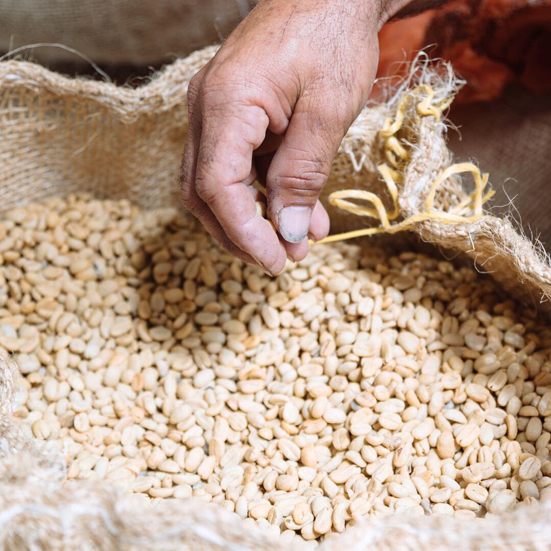 Lindfield Coffee Works tweet media