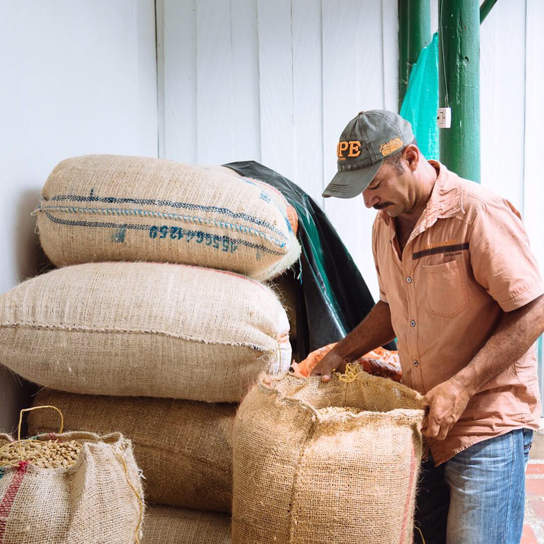 Lindfield Coffee Works tweet media