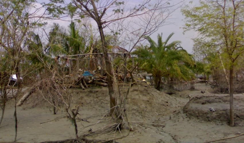 ClimateWed's tweet image. The effects of #ClimateChange on cultural integrity and survival (and thus on cultural memory and language) can lead to civil unrest and political instability.#LanguageEndangerment #InternationalMotherLanguageDay

Photo: iucn