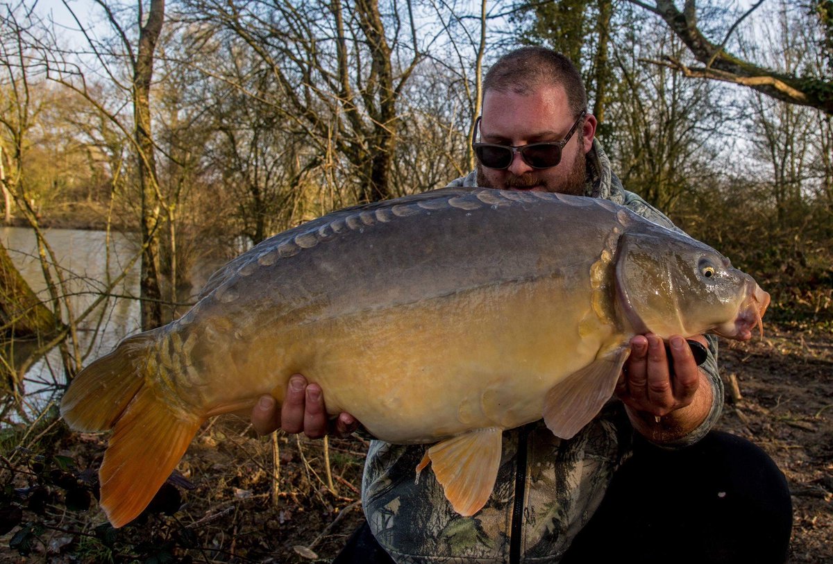 LacCoronCarp's tweet image. I had just text my mate saying 'You know when the cast is soooo good you just know it's going to go!' well 20 minutes later it did!

All 3 fish came to Multi rigs over halved and whole Coron Specials that I kept applying every hour or so in small quantities. #coronvibe