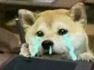 diuzz5's tweet image. 我爱薛洋，尽管他很坏……