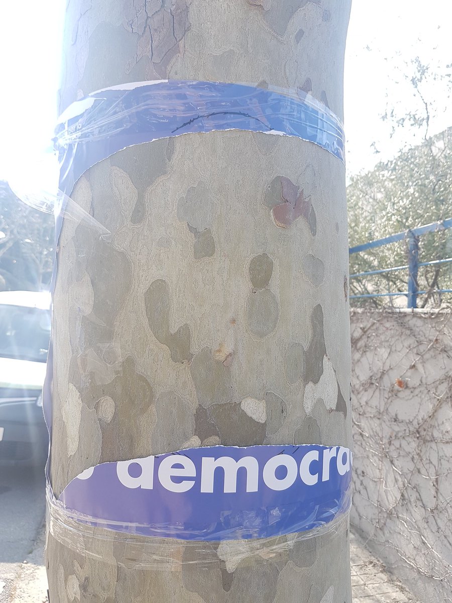 Mateu Hernández Bosc (@boscmateu) on Twitter photo 