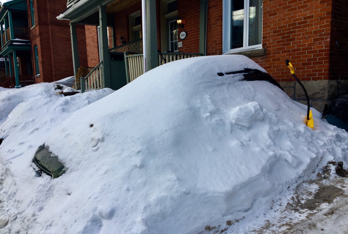 ⁦<a href="/cbcotttraffic/">CBC Ottawa Traffic</a>⁩ someone in the Glebe gave up on winter quite a while ago!!!  I second the emotion.