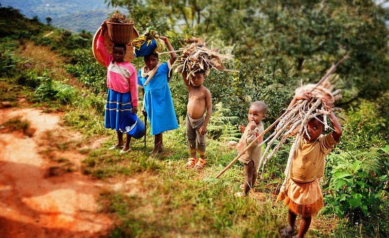 ClimateWed's tweet image. #ClimateChange brings changes in temperatures, precipitation, disease, and the ability of non-native species to expand their range and to disrupt ecological systems. #LanguageEndangerment #InternationalMotherLanguageDay

Photo: hatch-internationa