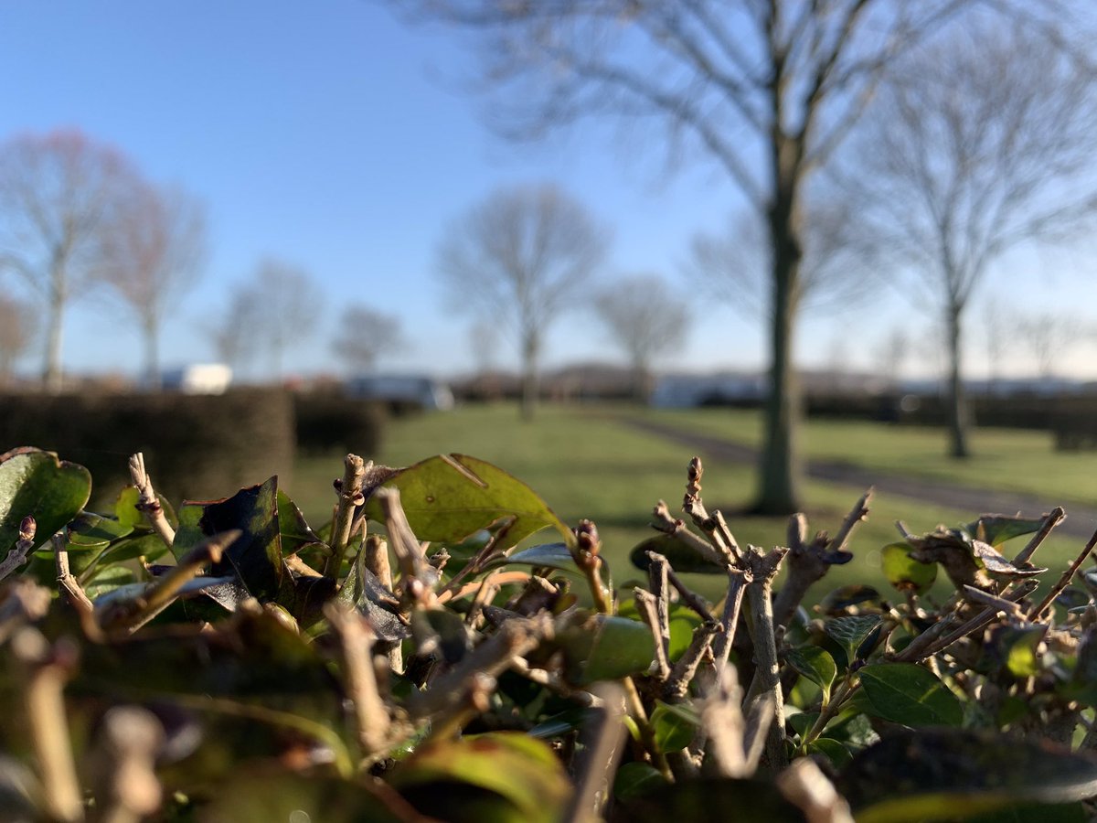 #voorjaar#vanmorgen#bewolkt#meeuwophetdak#uitkijk