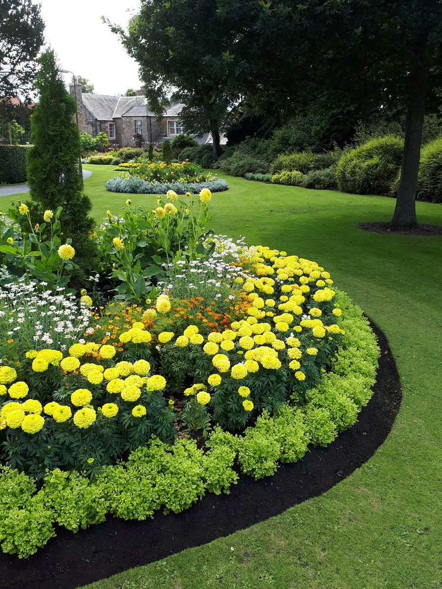 Feels like summer today... looking forward to planting out Neilson Park again this year already. #eastlothiancouncil #summerbedding #neilsonpark