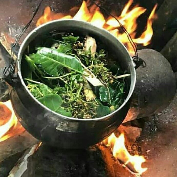 SpellSharp's tweet image. Preparing herbs to cure heart failure.