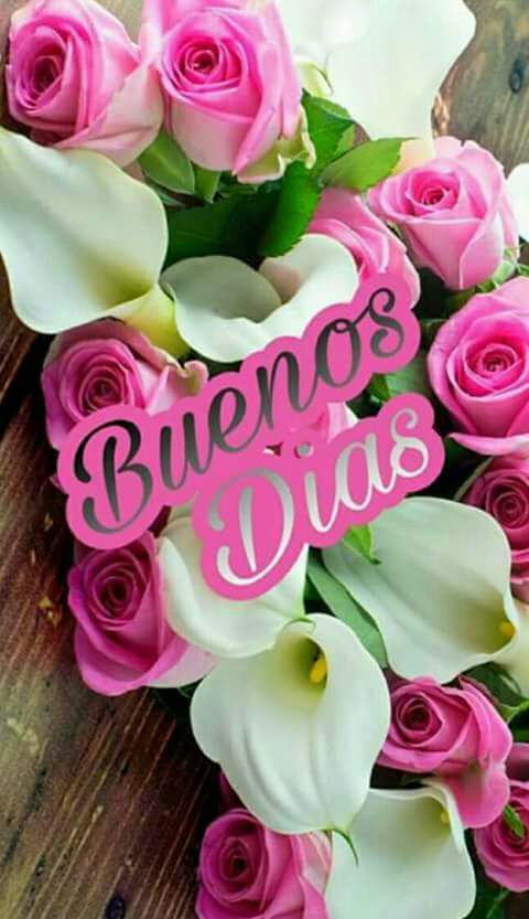 jaimemiserachi's tweet photo. @PattiBrookd @Romanof_Martins @grandesol2016 @robtropper @SUPERGOCHOo @LudMarx1 @Edward733 @Jilliemary @PatGrant7777 @MiluRamalho @vairton5550 @meerbakker @AAvallones @Lunarteddy @grants4usa @VictoriaD6363 @happy02013guy @vallouard @khanhakim_k @BrownieJohnston @vicky_zarazua @BeverleyGlazer @RobRobbie7477 @eric_ebearden @mirtaimperatori @akomama_tm @AintitMarvelous @susanWV309 @saladesvertes @VelvetSkye @safderali898 @HNmttcY3QAJvor1 @Tess_blue815 @EnjoyNature @heroldbarton @RMRK7991 @R8CSJdZV6a6YAt0 @juwadikimiyaho2 @EliLeonarda @minerk523 @La7li @ThankkachanReji @BeatriceLacy @luckybitches @sherrig108 @marycastro54 @windowgatribble @cheryllyndunn @jaimemiserachi FASCINANT PattiBrookd Romanof_Martins e32more JMA5 fabolous Thursday Patti #HUGSS #FRIENDS j https://t.co/NIykaQV7Nx
