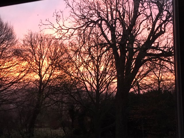 GaliaSlimmeria's tweet photo. We have amazing sunsets here at @slimmeria Sussex... BUT if you wake up early enough the sunrises are pretty spectacular too! #wakeupandgo #morningfitness #earlybird #slimmeria #sussex #hyehouse #detox #retreat #health #fitness #transformation #sunrise #sunset https://t.co/AfQEwecixr