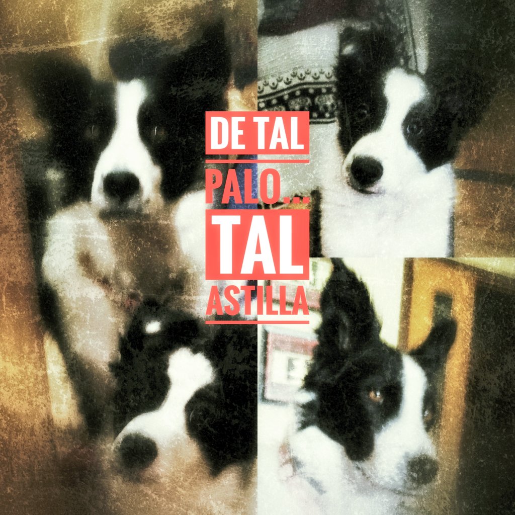 Green Test tweet media