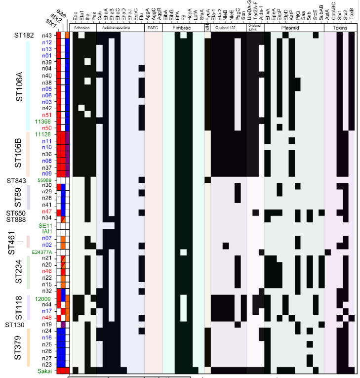 andrewjpage's tweet image. There are many avenues to becoming a deadly pathogen &amp;amp; this preprint delves into O157 and non-O157 #STEC genomes like never before from @happy_khan @beatsonlab @genomiss @nathan_bachmann biorxiv.org/content/10.110… #Bioinformatics #PrePrint
