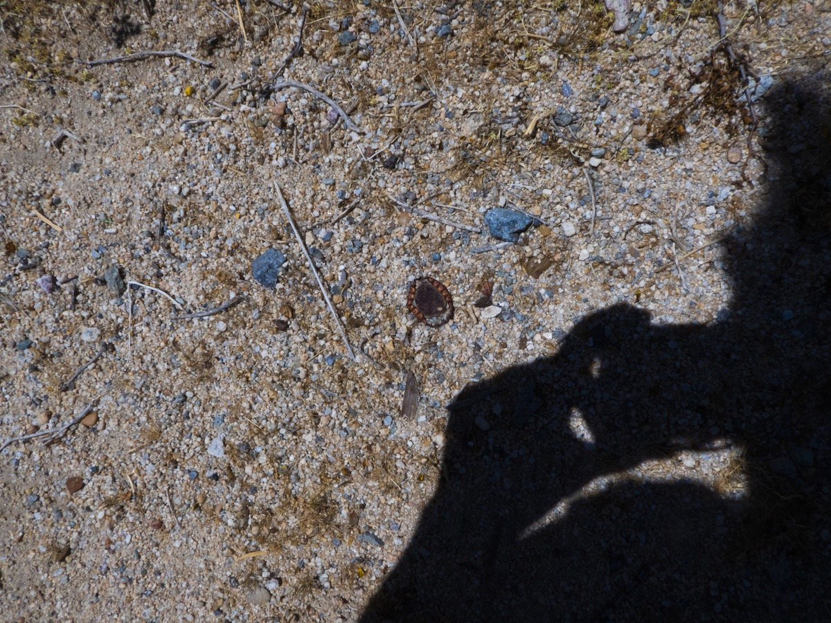 Omar Willey's column on anonymous photographs considers why people hate photography.
 - seattlestar.net/2019/02/encoun…