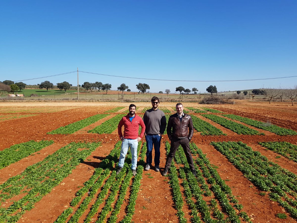RE-CORD - Bioenergy (@recordbioenergy) on Twitter photo Re-Cord in #Spain for the <a href="/projectbio4a/">projectbio4a</a> project meeting, visiting experimental fields in La Mancha. Thanks to <a href="/CamelinaCompEsp/">Camelina Comp España</a>
🌱 ✈️ bio4a.eu pic.x.com/8Cxh2PA32n Re-Cord in #Spain for the <a href="/projectbio4a/">projectbio4a</a> project meeting, visiting experimental fields in La Mancha. Thanks to <a href="/CamelinaCompEsp/">Camelina Comp España</a>
🌱 ✈️ bio4a.eu pic.x.com/8Cxh2PA32n