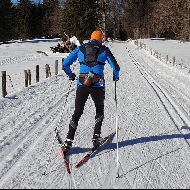 FITLYRUN's tweet image. Sliding through an awesomely active lifestyle. Gorgeous day to take your FITLY out.  Get out and do it!
•
•
•
•
•
#marathon ##trailrunning #nikeplus #nordicskiing #runnerscommunity #triathlon #bestrunningpack #runningbackpack#lifeisaworkout #back… ift.tt/2GBh3pR