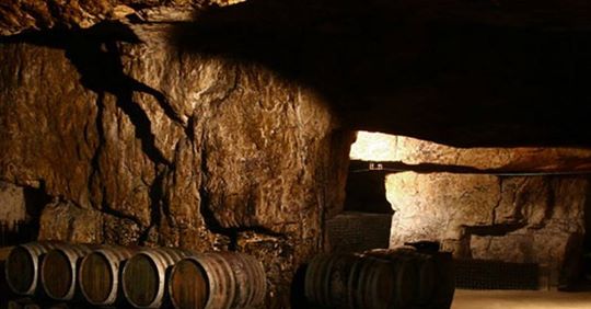vignartea's tweet photo. Regards sur le Domaine de la CHEVALERIE, situé à Restigné sur l'appellation viticole de Bourgueil : des bourgueils troglodytes issus de terroirs aux caractéristiques édaphiques distinctes et étonnantes ! 
https://t.co/hGcwmMBawl https://t.co/AKstWiVUbF