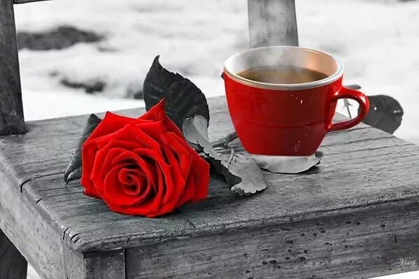 사람은
잘 변화지 않습니다 

그 사람을
바꿔 보려고 잔소리를 하고
충고를 해도 쉽게 달라지지 않을 것 입니다

그사람 때문에 힘이든다면 

바꾸려 하지말고 
입장을 바꿔 이해를 해 보고

그것이 어렵다면
떠나가는 편이 현명합니다