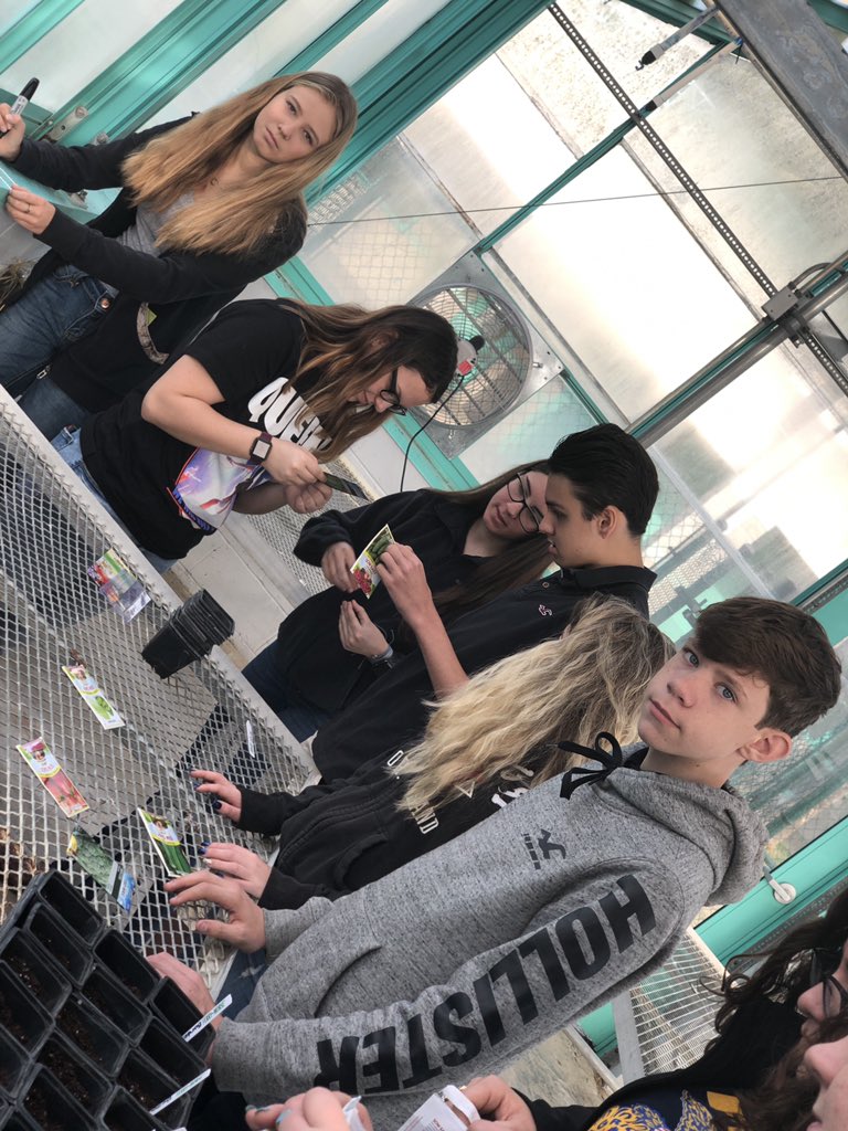 Pine_Ridge_FFA's tweet photo. A clean greenhouse means a full greenhouse! #tomatos #cucumbers #okra #watermelon #peppers #fertilizer #ffa #gardening #farmtotable #FFAWEEK #TeachAg #vcscte #CTEMonth https://t.co/dOJJ79pMd5