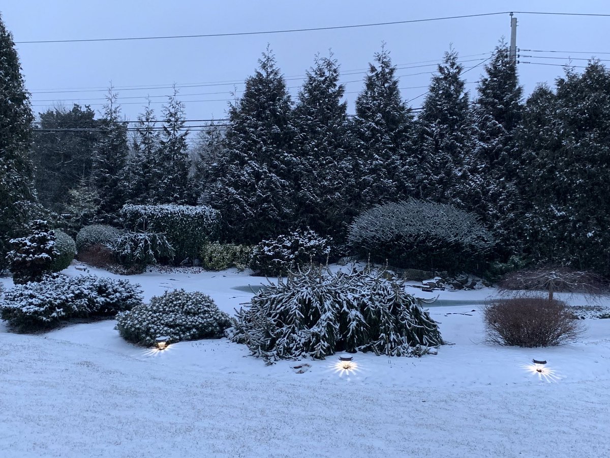 NEGardening's tweet image. Long Island snowy views. Just a dusting of snow changes the landscape. #snowyday #februarygarden #thinkingofspring