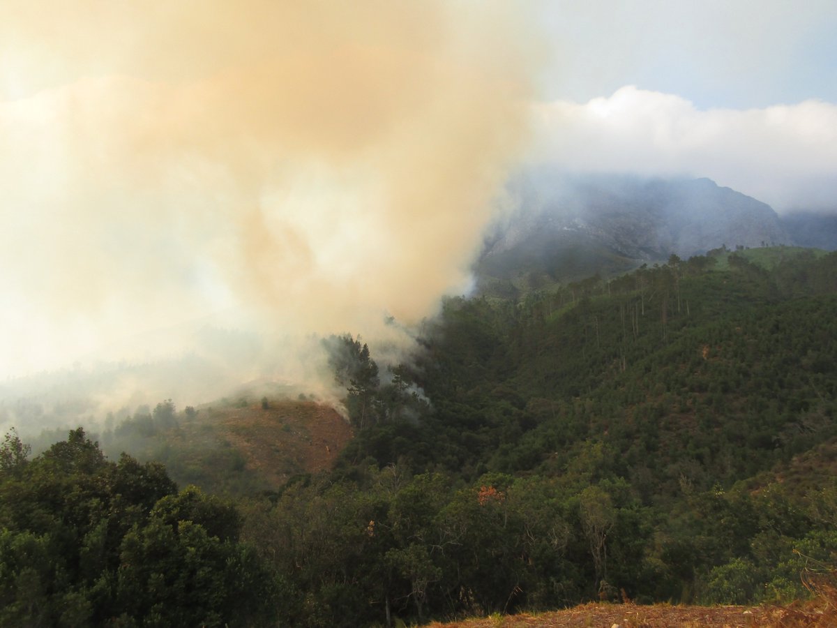 #FranschhoekFire Update: CWDM and partners currently busy combating  the Franschhoek blaze. Visit our Facebook page
 @CapeWinelandsDM for more details.