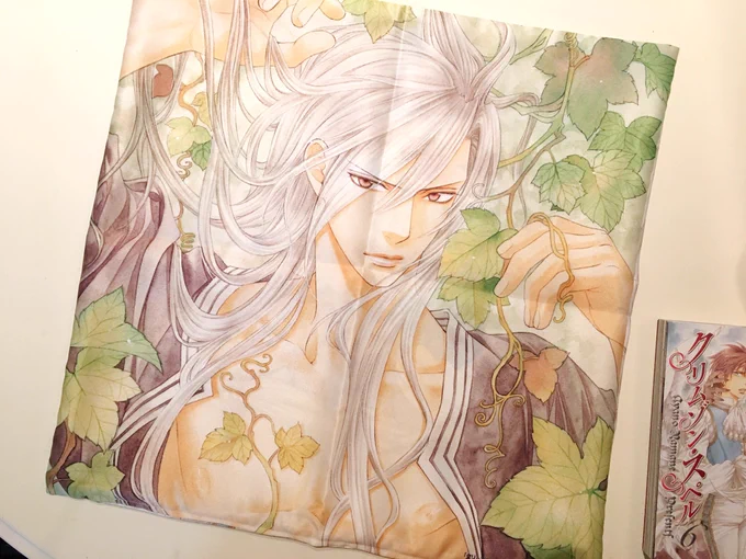 キャラセレ読書プレゼント用のクッションカバーが届きました(*'□`)ノ
なんとリバーシブル!裏にハヴィ〜いた! 