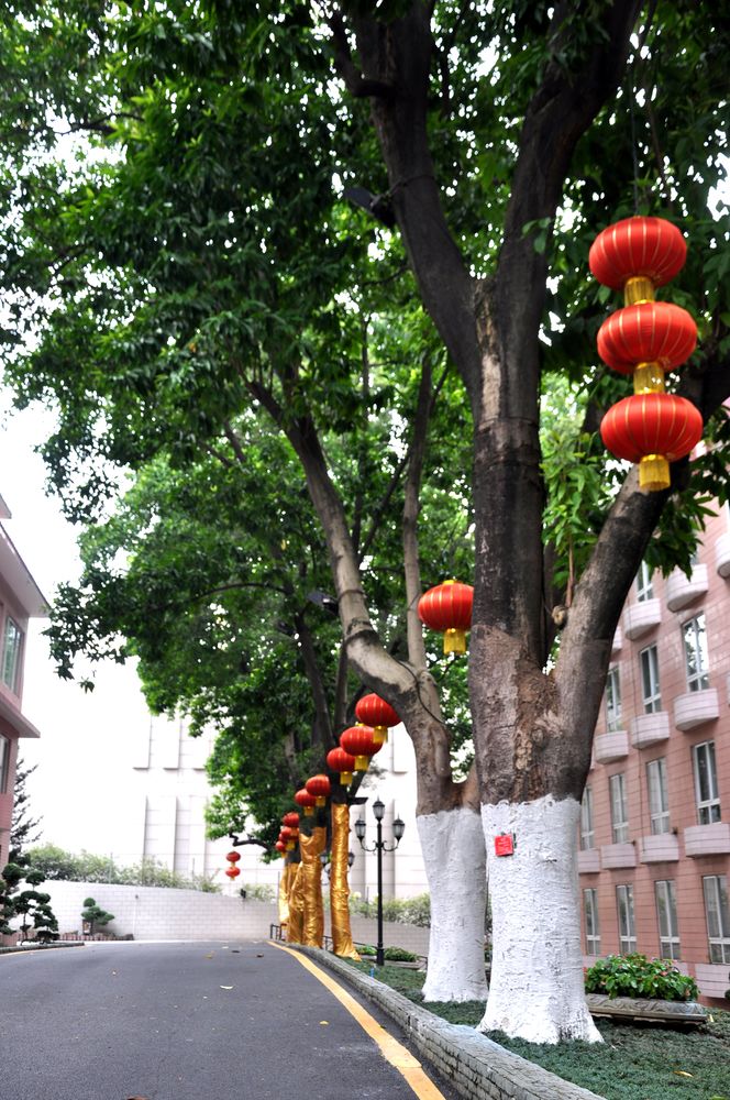 ClimateWed's tweet image. First, the tree usually produces pods during the Solung festival. Now, the flowering and fruiting are earlier. #ClimateChange #LanguageEndangerment #InternationalMotherLanguageDay

Photo: MakeMyTrip