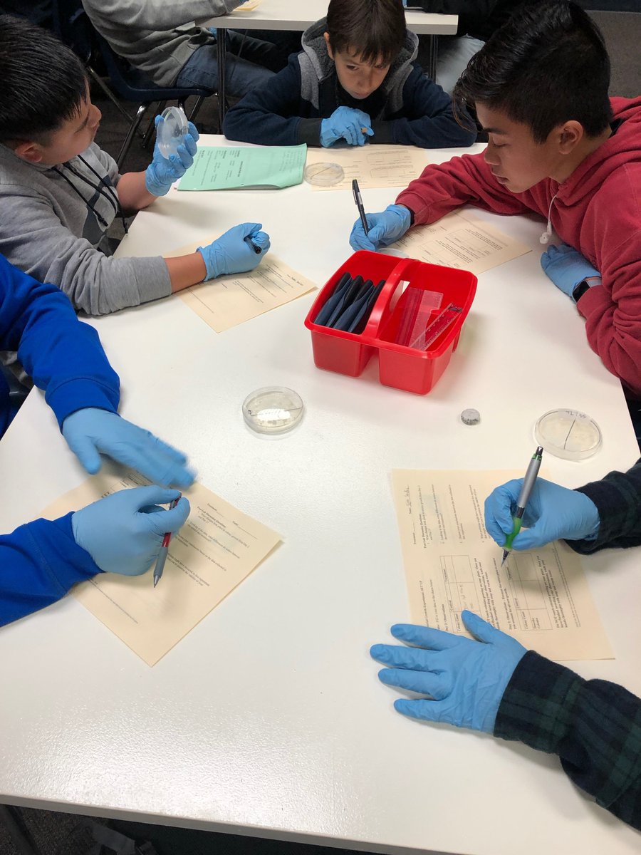 HandsOn_Class's tweet photo. Students at a middle school in Walnut, California were busy learning about bacteria and food safety this week!

There's still time to order supplies for an exciting, end of the year unit!  For more information, reach out here or email handson@gmaonline.org. https://t.co/7pOUPQXErw