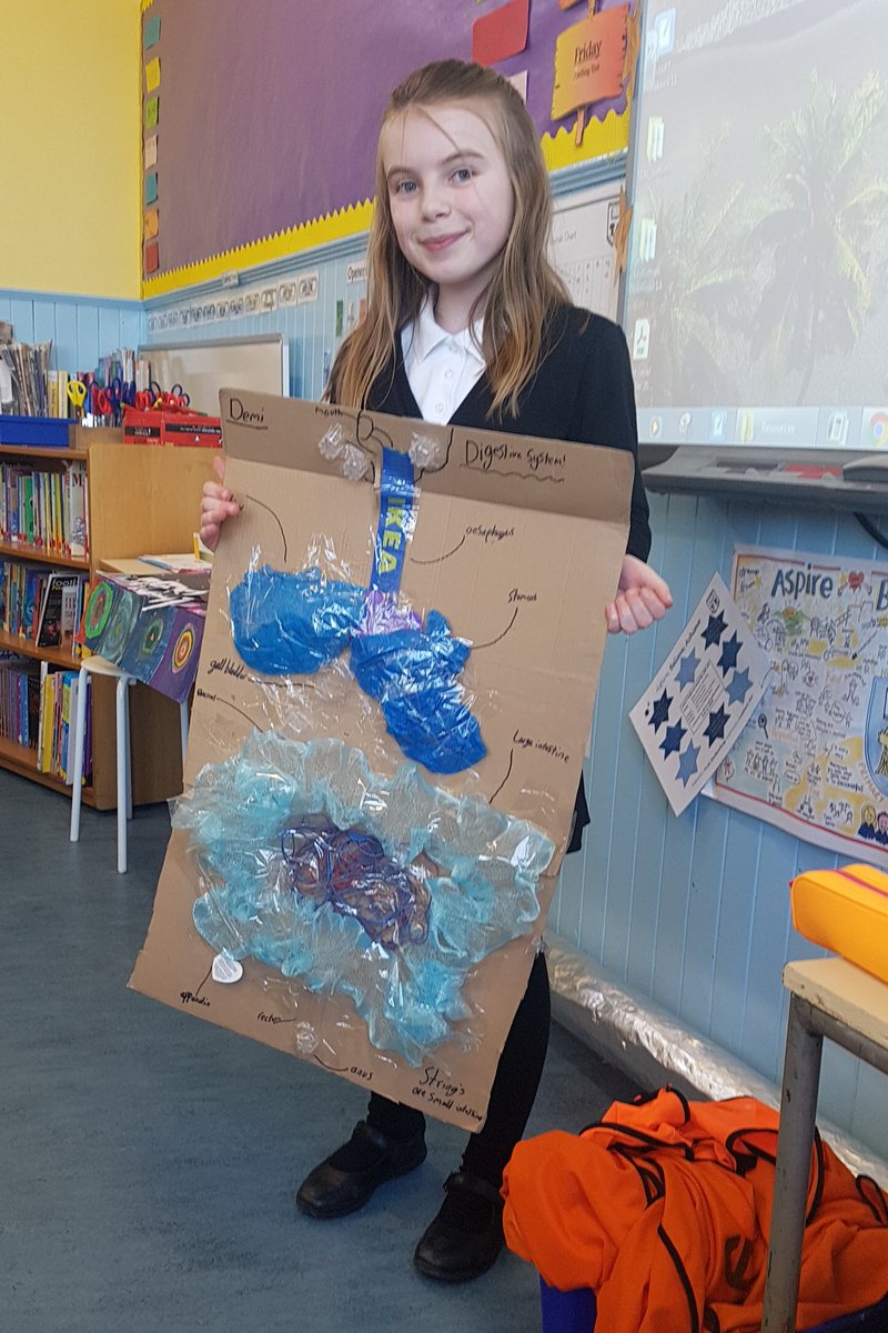 P6b's first brilliant creation from our human body Home Learning project! A model of the digestive system made from scrap materials...along with a fantastic explanation of the process by this proud learner 👏🌟👏 <a href="/NewtongrangePS/">NewtongrangePS</a>  #aspirebelieveachieve #moretocome #watchthisspace