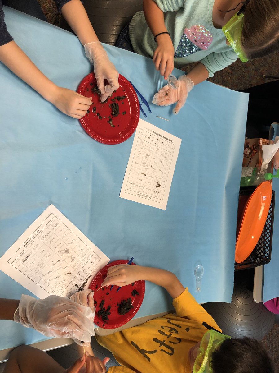 Megan Games tweet media