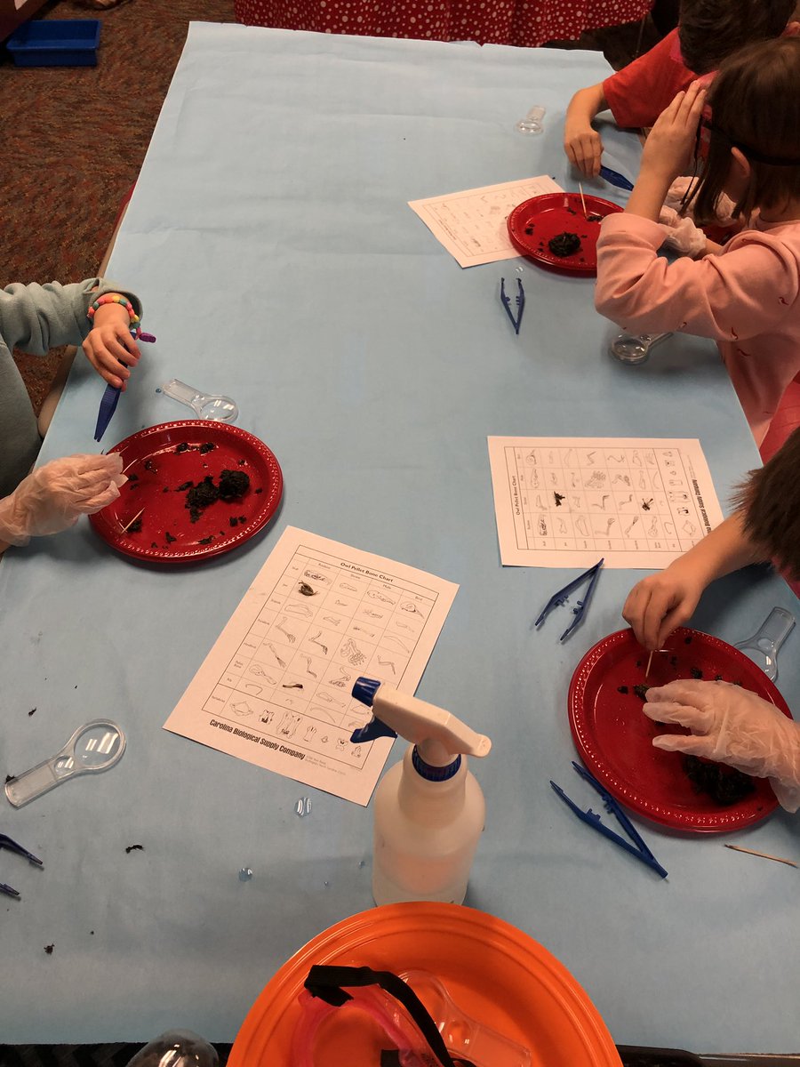 Megan Games tweet media