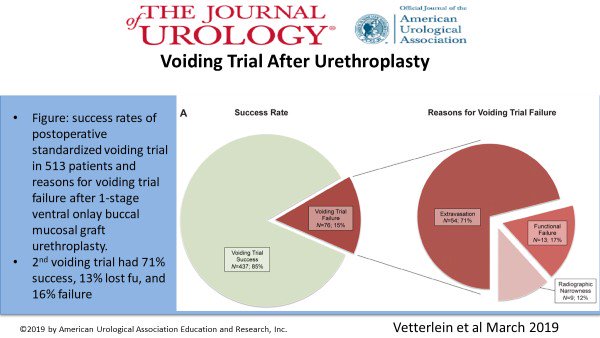 JUrology's tweet photo. This large urethroplasty series shows that
residual narrowness or functional failure
at an early voiding trial
after buccal mucosal graft urethroplasty
may predict stricture recurrence.
https://t.co/ej7cobL6ij
#urotrauma @mwvetterlein https://t.co/wuHRI9zm51