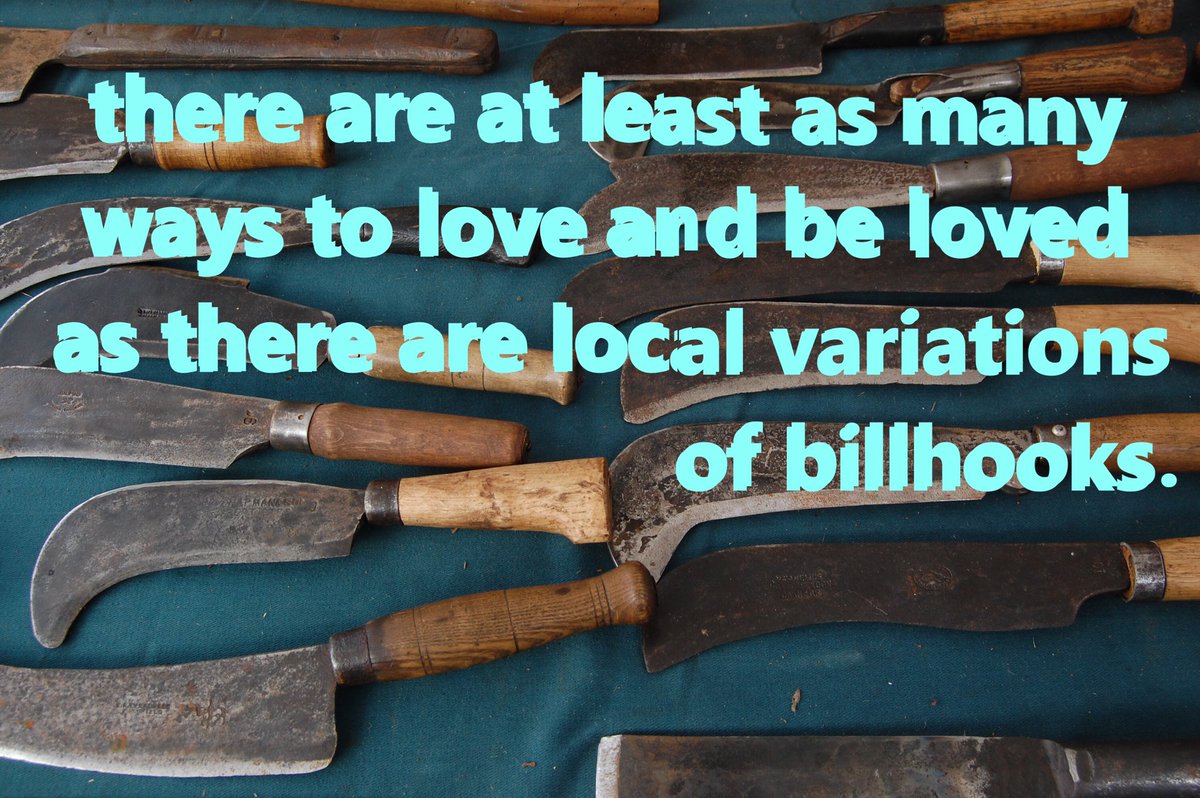 Botany Shitposts tweet media