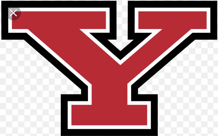 D_diggs23's tweet photo. Blessed to receive my first offer @YSUcoachMarlowe #goGuins🐧🏈 https://t.co/rfloITd9oY