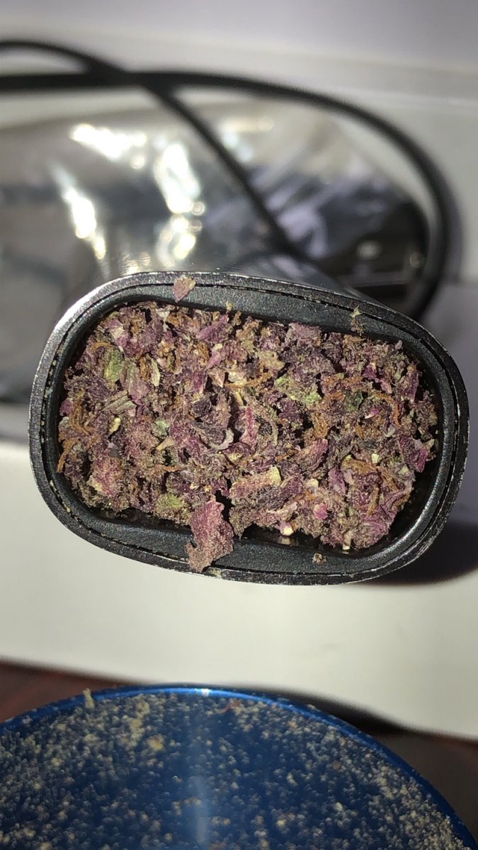 LongLodgeTribal's tweet photo. Time to #Pax some #Mimosa #purplebuds #hybrid #motivating #productivepothead #StonerFam #stonersociety #cannabisculture #weshouldsmoke #vapeyourweed #pax2 #reefer #weed #pot #smokeweedeveryday #longlodge #costamesa #newportbeach #OrangeCounty #oc420 #oc #huntingtonbeach #irvine https://t.co/5FYkNJ9Eri