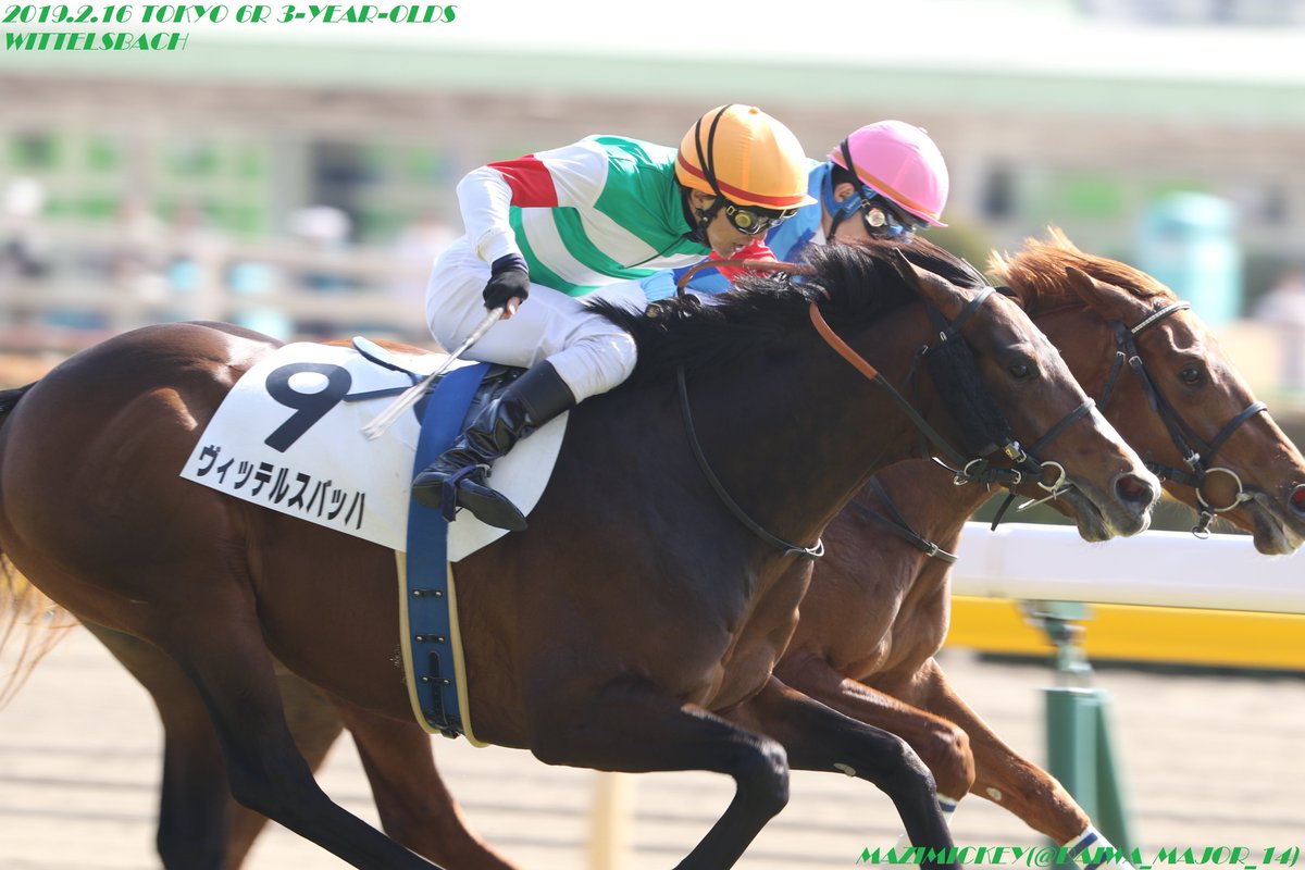 ヴィッテルスバッハ