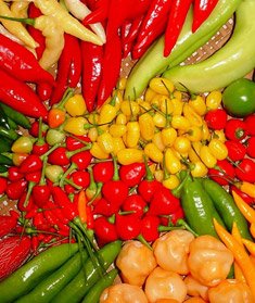 Conheça mais sobre os benefícios da pimenta, seus variados tipos e suas características nesse artigo do Centro de Segurança Alimentar e Nutricional Sustentável (CESANS).

#SaudávelEBarato #Artigo #Pimenta #GovernoSP #AgriculturaSP

codeagro.agricultura.sp.gov.br/cesans/artigo/…