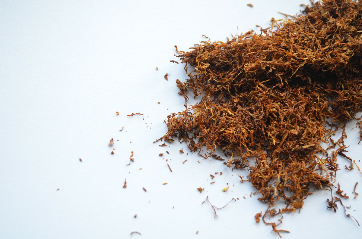 NIDAnews's tweet photo. Cigarettes aren’t the only form of tobacco that can cause cancer. Smokeless tobacco also increases the risk of cancer, especially mouth cancers. Join the #GASO and spit out the dip. https://t.co/Yb6jghZ6bg https://t.co/TCCN8HKiRQ