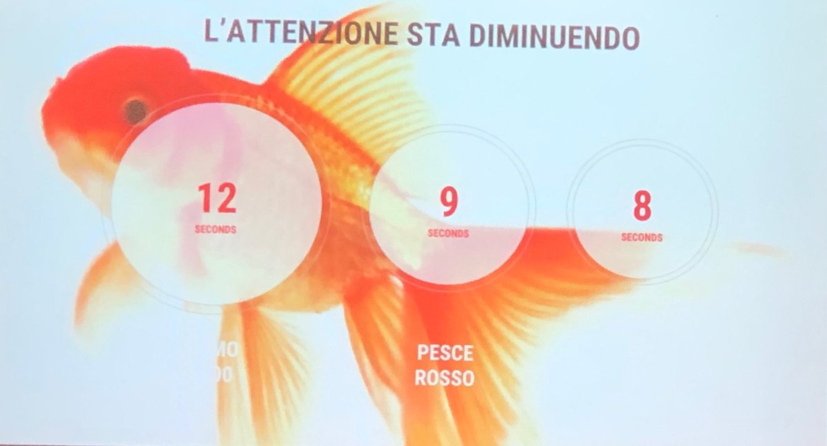 Invece di diventare come le zebre ed evitarci l’ulcera, siamo sempre meno attenti ... ma stressati comunque 😉! A #becomeadigitaleader #Google ci ha parlato di pesci rossi più attenti di noi😳! Per attirare bisogna essere sempre più innovativi e creativi con ⁦<a href="/DBB_Italia/">DBB</a>⁩