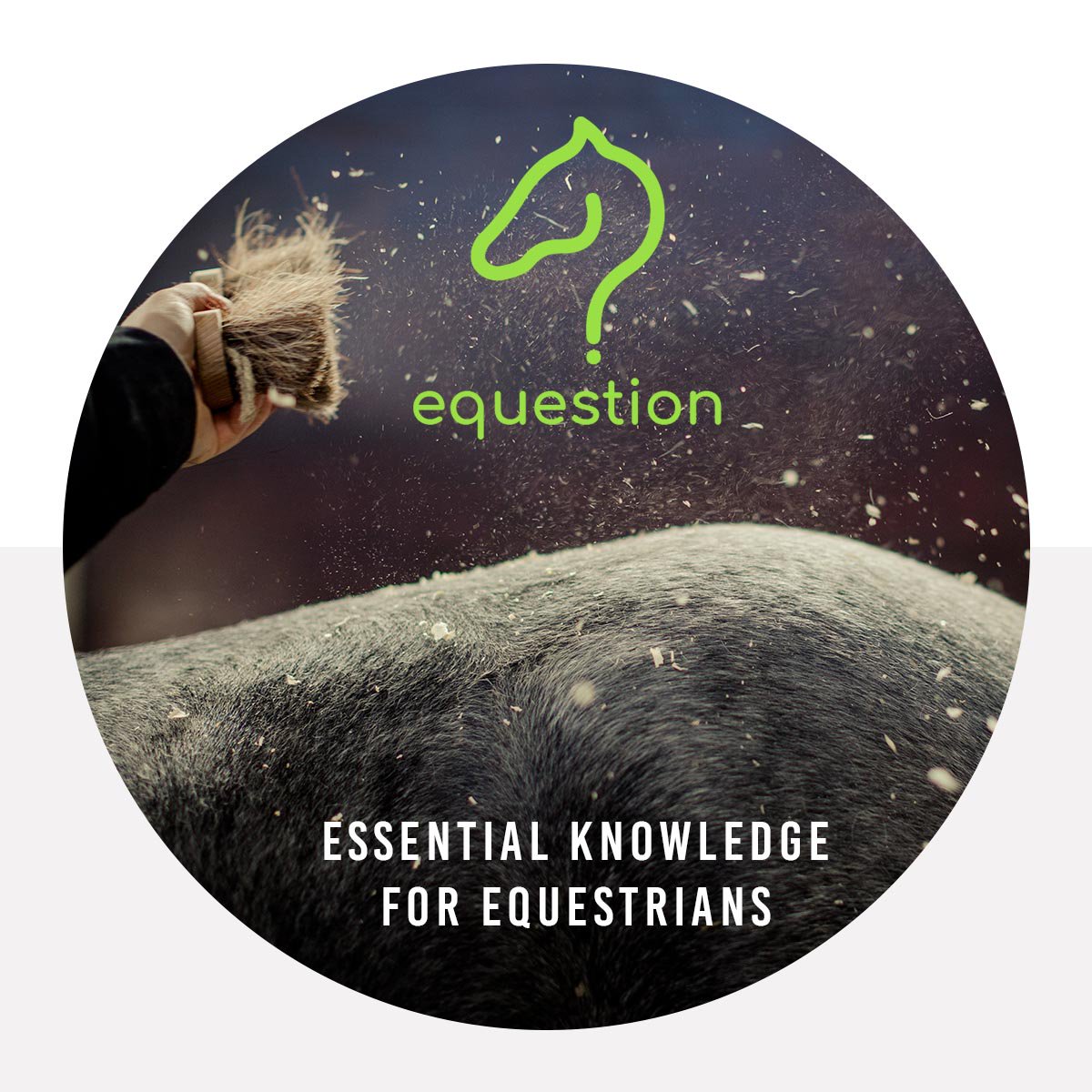 The equestrian learning app. Brush up on your horsey knowledge 🐎 Riders of all ages &amp; abilities 🐎 Instructors/Equine professionals to help clients 🐎 Horse owners 🐎 Career students, NVQ &amp; Stages. Learn on the go feel prepared, confident &amp; ready! 🐎