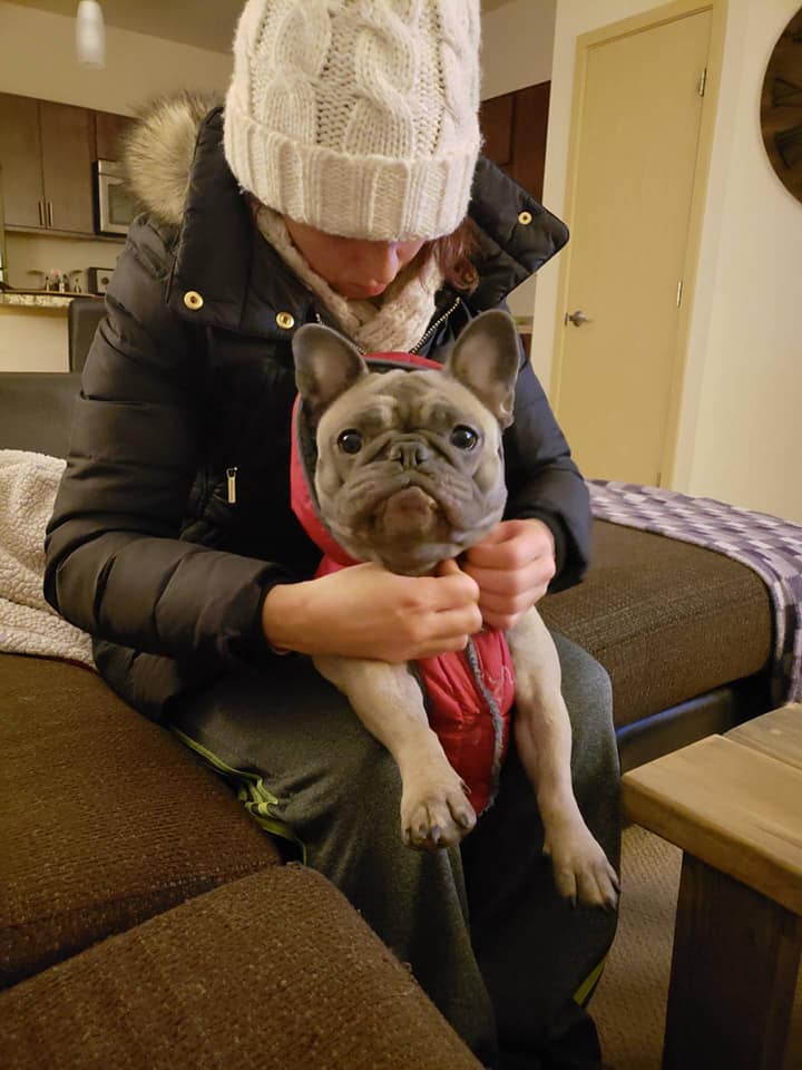 Petunia is not a big fan of the cold, her expression is too cute not to share!
#frenchie #frenchbulldog #frenchbulldogmom #dogcoat