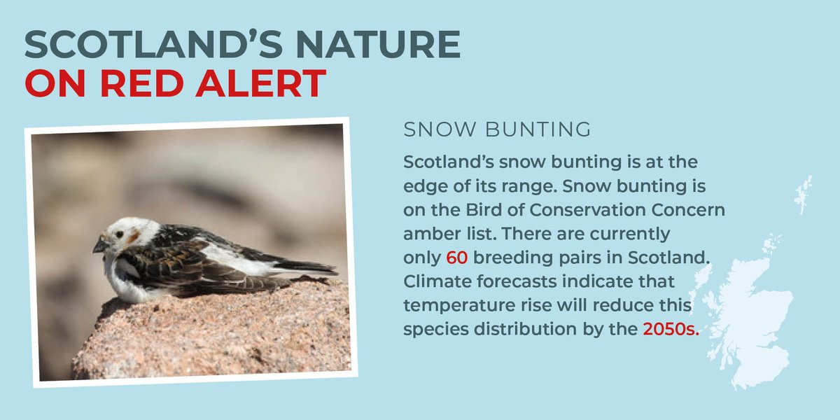ScotLINK's tweet photo. @ScotLINK is attending the @scotlibdems conference in Hamilton for the next two days. One of the topics we will be talking about is how #climatechange is changing Scotland’s biodiversity. #NatureonRedAlert #oorfuture https://t.co/LSkAq8PoFW