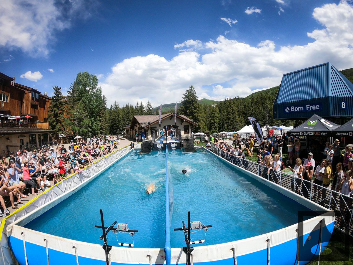 duelingdogs's tweet photo. #TBT to Dueling Dogs at the @GoPro Mountain Games in 2018 🐶 💦 https://t.co/9VUWZ2tun3