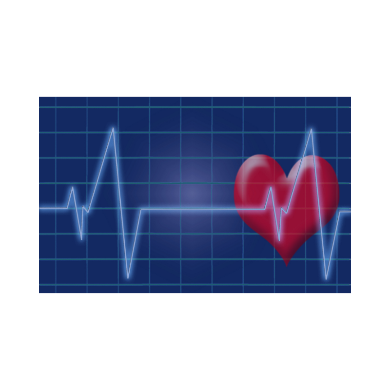 StPaulChiro's tweet photo. What causes #heartdisease? #Love can offer important protections for the heart just as the lack of it can have profound health consequences.
https://t.co/e1v3Tqf1fi https://t.co/sL2nVT7hWL
