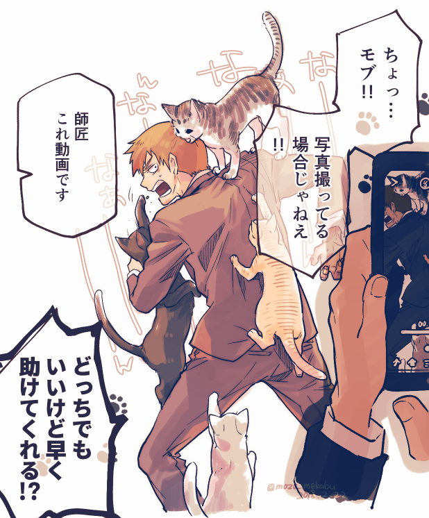 ねこの日だって聞いたのでキャットタワー隆 
