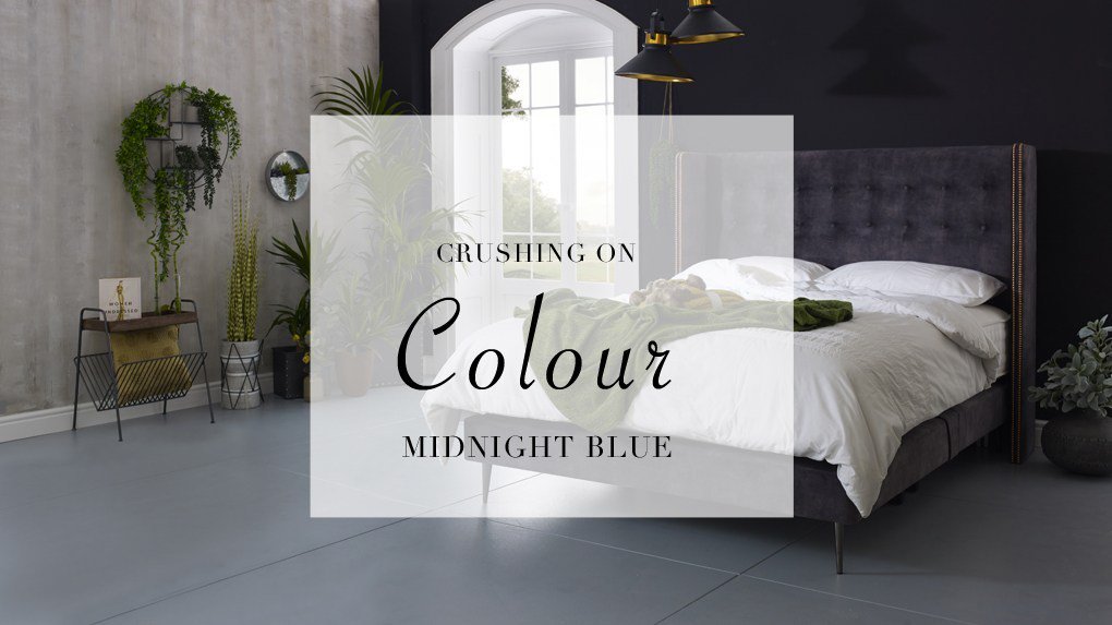 PhotographyWrks's tweet photo. Crushing On Colour | Midnight Blue https://t.co/uNokdam9Oq https://t.co/OzsqwXBD1y