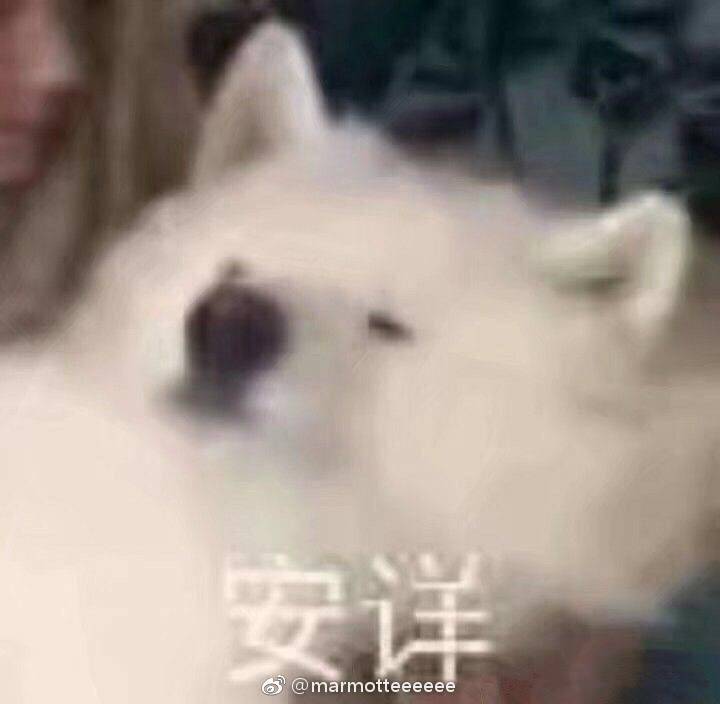 diuzz5's tweet image. 我也不知道明天画什么，但肯定是很虐心的。