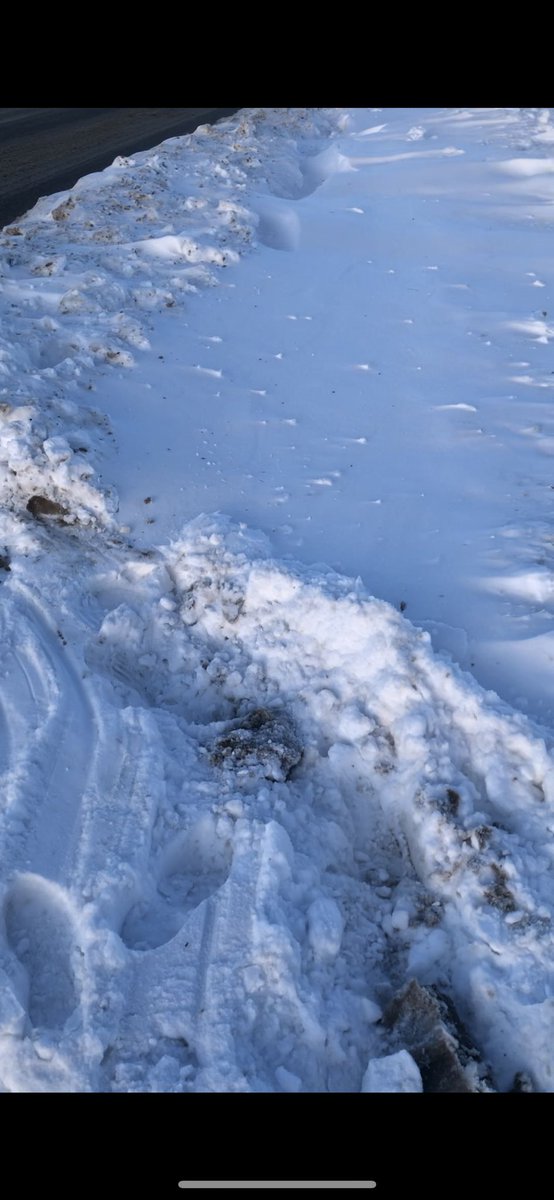 City of Calgary on Twitter "Can you please let us know the closest intersection to this area