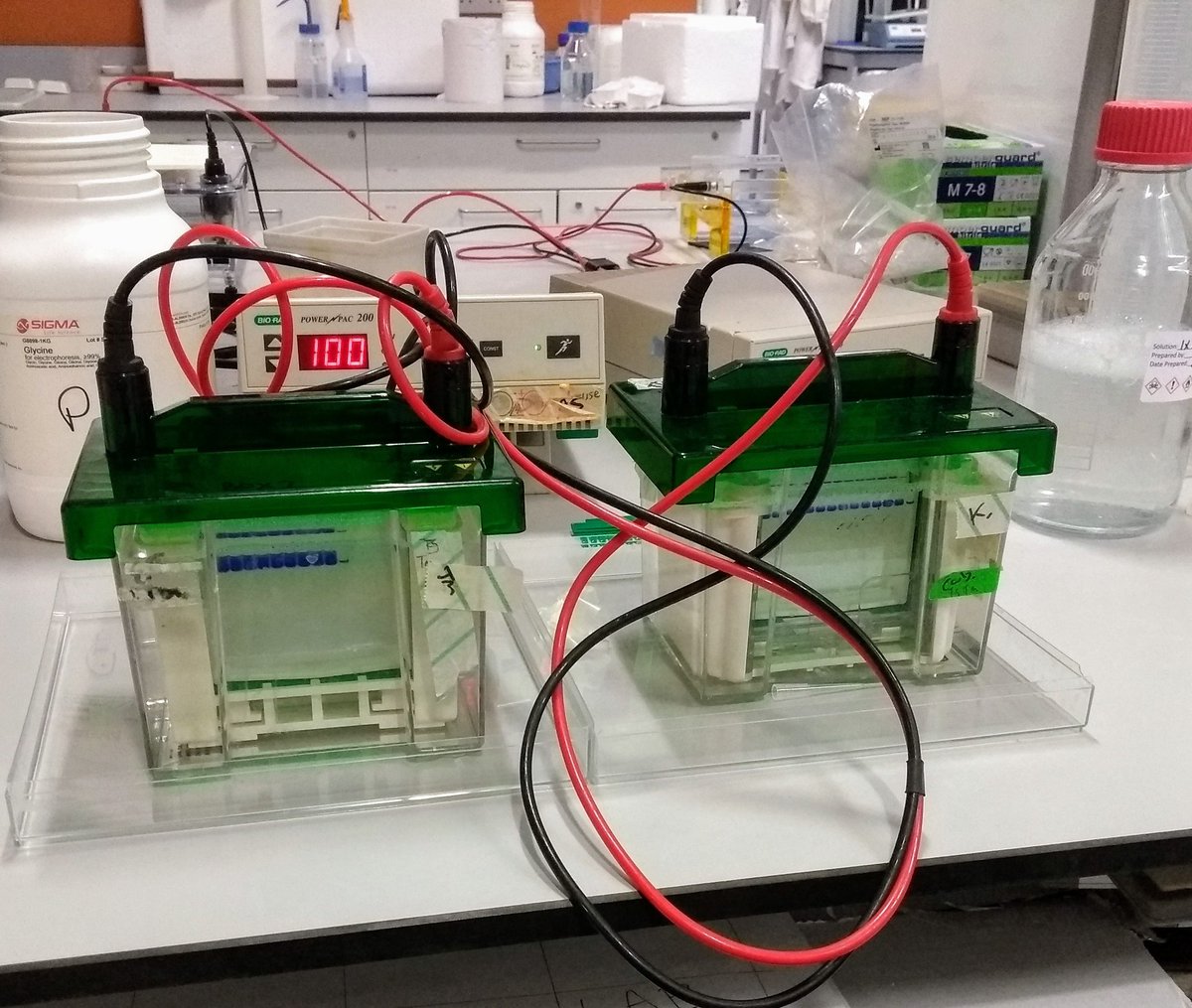 LogueSus's tweet photo. Starting to wrap up my last experiments....sad to leave @ARCresearchNUIG  but very excited about starting as Assistant Professor in Department of Human Anatomy and Cell Science @UM_RadyFHS University of Manitoba 🇨🇦 in April! #newPI https://t.co/Q98E4iZaMG